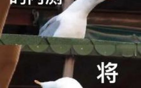 剑网三最不烧钱的门派(剑网1后期哪个门派厉害)
