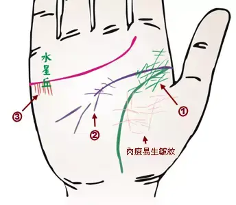 掌纹分析专家排名前十(掌纹密码书籍)插图21