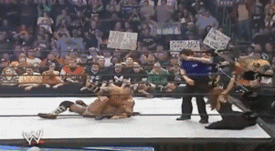 wwe体育价值排名前十(wwe历史十大排名)插图66