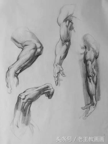 学画画零基础(附近的画画的地方培训班)插图28