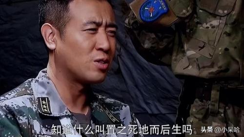 特种兵题材的电视剧(特战军旅电视剧)插图18