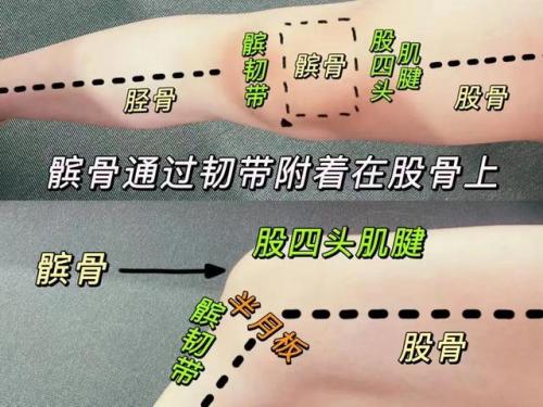 跳绳护具性价比排名前十(医用腰椎护具十大排名)插图1