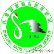 芭比q了什么意思梗(芭比q是什么意思)插图13