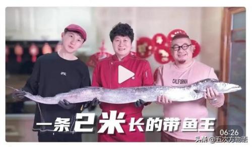 台湾稀有鱼类排名前十(长江稀有鱼类)插图4