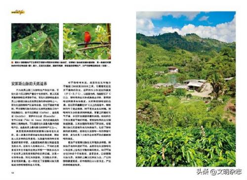 哥伦比亚咖啡(哥伦比亚咖啡属于什么品种)插图2