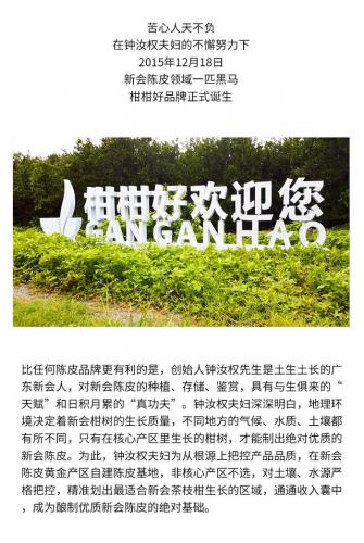 进口陈皮牌子排名前十(陈皮最好的品牌)插图12