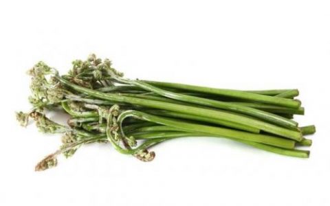 蕨菜的功效作用及危害(蕨菜)