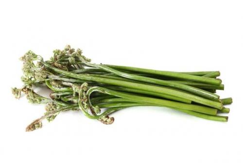 蕨菜的功效作用及危害(蕨菜)插图