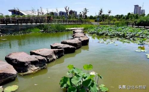 盐城地区景点排名前十(盐城必去景点排名第一)插图24