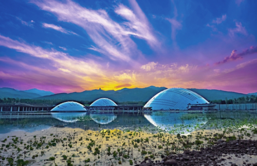 太原元宵节活动(太原2022元宵节活动安排)插图1