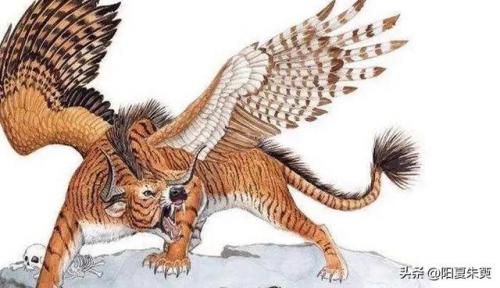 狼吞虎咽打一生肖(狼吞虎咽猜取佳生肖)插图6