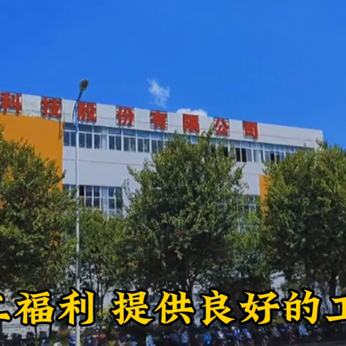 新疆染整公司排名前十(新疆有哪些著名的公司)插图3