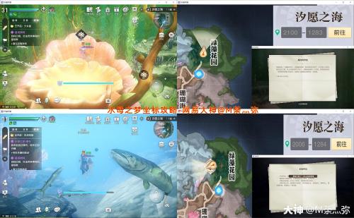 天谕手游水母之梦任务详细完成攻略(天谕手游海灵珠任务)插图4