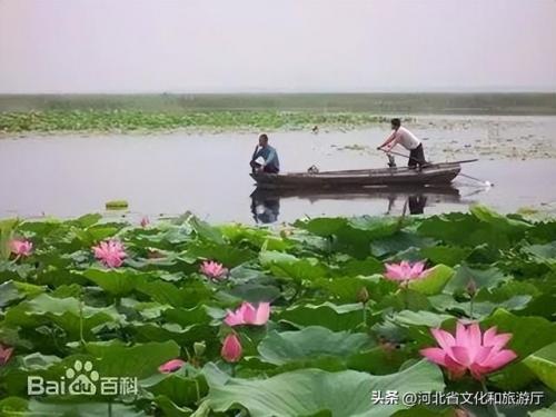 衡水旅游景点大全(德州旅游景点)插图1