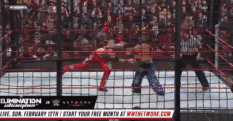 wwe体育价值排名前十(wwe历史十大排名)插图58