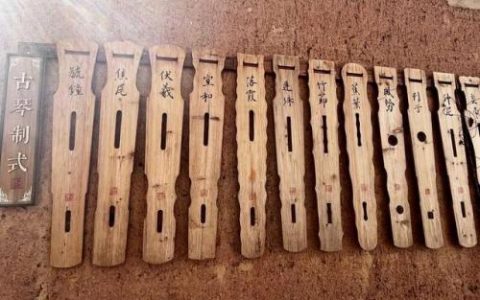 金华古琴学校排名前十(义乌学古琴哪里好)