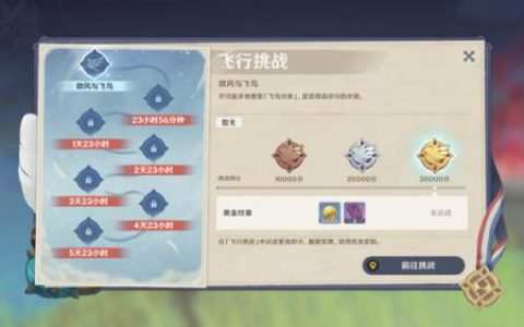 原神飞行挑战满分技巧分享(原神飞行训练怎么过)