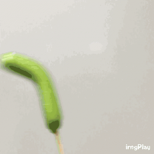 深圳最贵冷饮排名前十(深圳高档餐厅排名)插图16