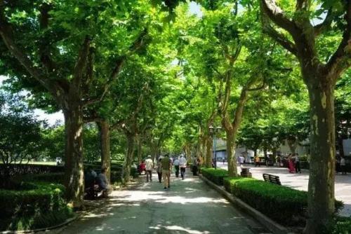 上海划船景区排名前十(上海划船的公园哪个比较好)插图8