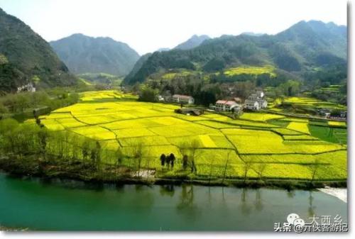 中国油菜之乡排名前十(全国油菜花开最早省市县乡)插图3
