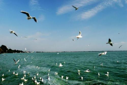 昆明旅游(昆明老街)插图5