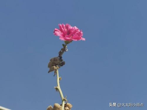 假如生活欺骗了你大结局(我和我的三个姐姐电视剧40集剧情)插图