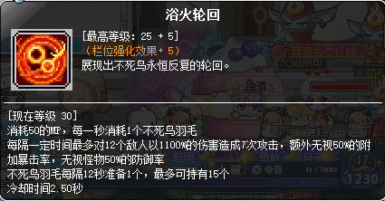 冒险岛炎术士技能介绍(冒险岛炎术士完美核心)插图65