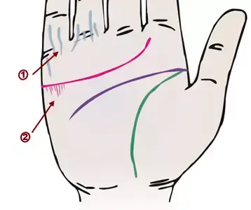 掌纹分析专家排名前十(掌纹密码书籍)插图20