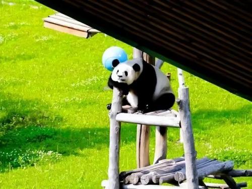 哈尔滨自拍馆排名前十(哈尔滨最好的回民馆)插图62