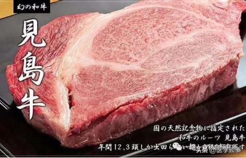 牛棚牛排品牌排名前十(调理牛排品牌排行榜)插图45