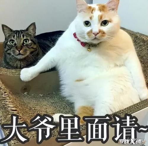 永恒之塔还在运营吗(永恒之塔现在谁代理)插图2