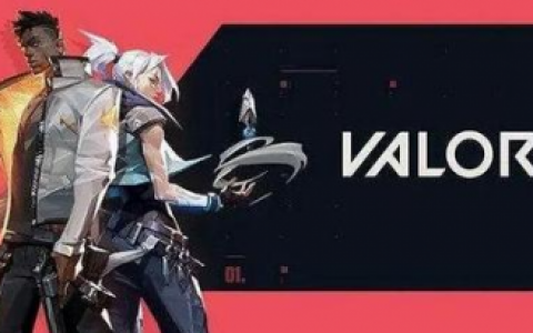 valorant战争迷雾机制怎样(valorant历届公益套)