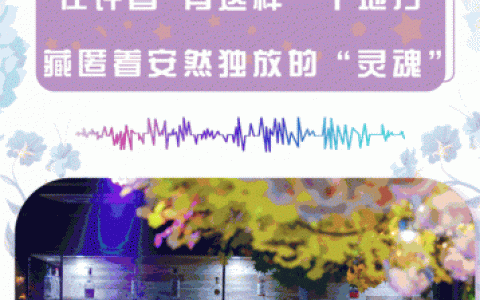 许昌餐厅酒吧排名前十(许昌十先生酒吧)
