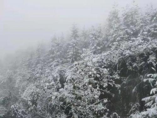 四川哪里下雪了(2023第一场雪)插图6