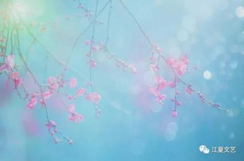 现代诗十首(现代诗)插图