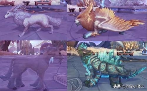 wow小宠物推荐(魔兽世界野外稀有小宠物)插图10