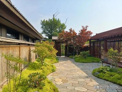 青岛街景酒店排名前十(青岛中心城区酒店排名)插图19