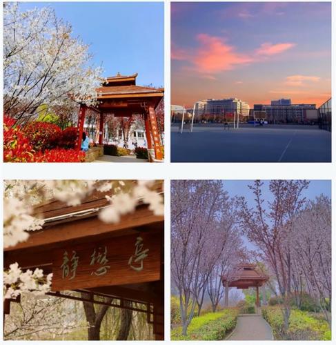河南经贸学院(河南经贸学费一年多少钱)插图13