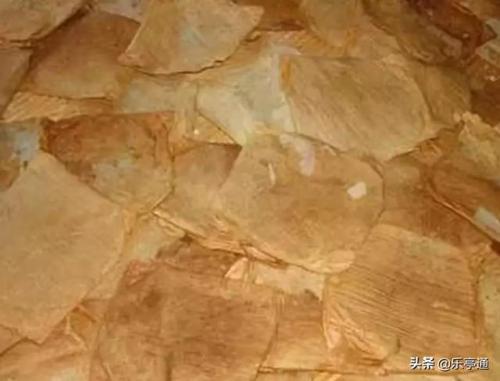 唐县饭店美食排名前十(唐县哪家餐厅好吃)插图54
