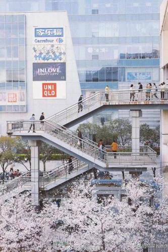 北京生鲜超市排名前十(北京高端生鲜超市排名)插图9