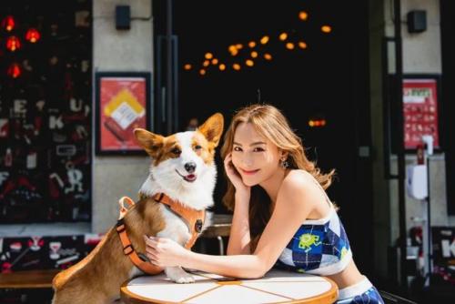 番禺宠物商场排名前十(广州宠物店)插图33