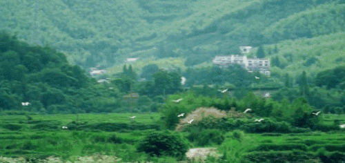 莫干山在哪里(莫干山旅游攻略)插图