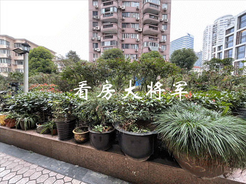 静安高端会所排名前十(深圳会所排名)插图20