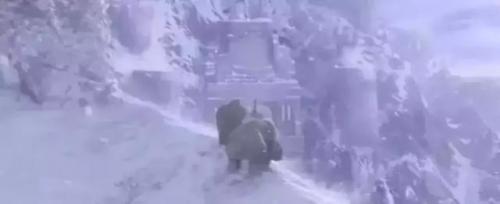 魔兽世界黑海岸影爪无法攻击(魔兽世界60年代灰谷幽灵狼)插图