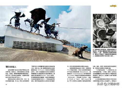 哥伦比亚咖啡(哥伦比亚咖啡属于什么品种)插图3