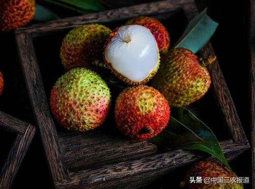 白糖罂荔枝(白糖罂荔枝多少钱一斤)插图2