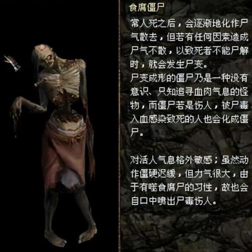 上古传说刀剑封魔录外传(刀剑封魔录上古传说妖狐任务)插图24