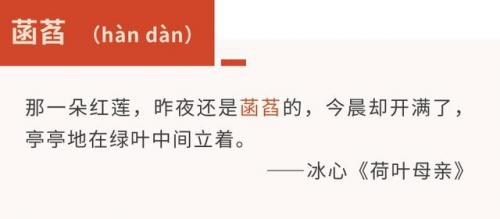 菡萏是什么(菡萏特殊含义)插图5