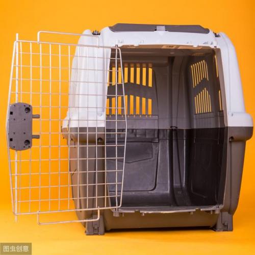 宠物狗用品(养狗用品清单)插图1
