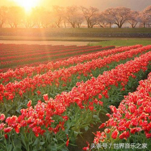 老歌大全(8090怀旧经典)插图20